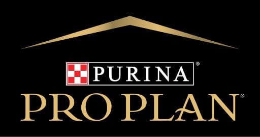 Pro Plan Evcil Hayvan Mamaları | Kargola Gelsin'de Sağlıklı Beslenme