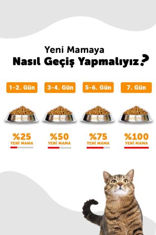 Pronature Tavuklu Ve Pirinçli Yetişkin Kedi Maması 10 Kg
