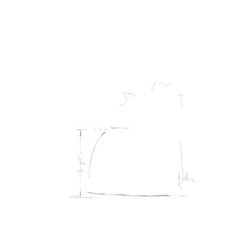 Royal Canin Yorkshire Terrier Adult Yetişkin Köpek Maması 1.5 kg