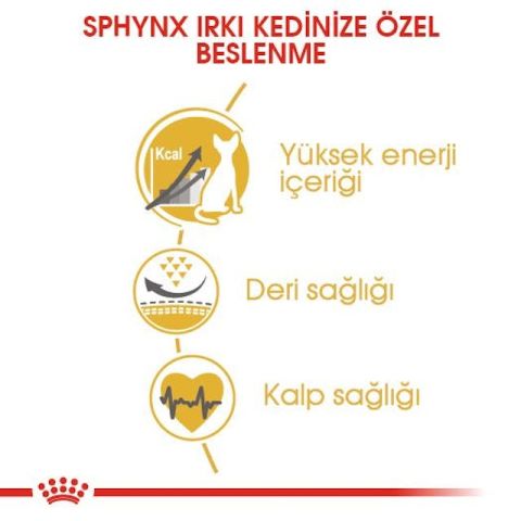 Royal Canin Sphynx Yetişkin Kedi Maması - 2 Kg