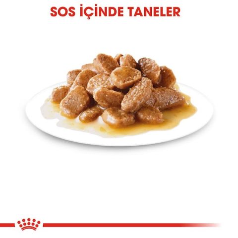 Royal Canin 12x85 gr Pouch Mini Adult Köpek Yaş Maması