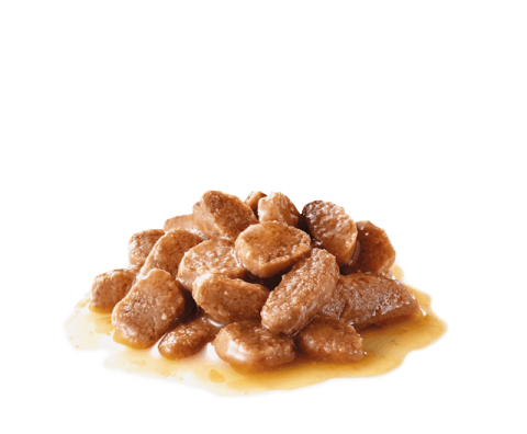 Royal Canin Ageing +12 Gravy Pouch Yaşlı Konserve Kedi Maması