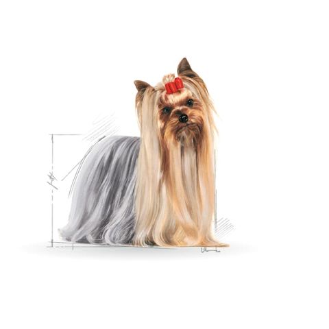 Royal Canin Yorkshire Terrier Pouch Konserve Köpek Maması