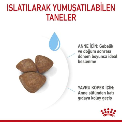 Royal Canin Mini Starter Yavru Köpek Maması