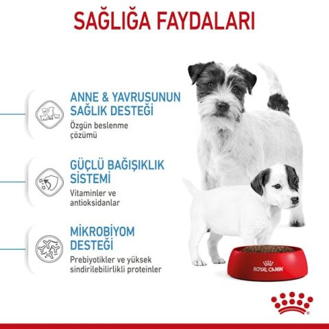 Royal Canin Mini Starter Yavru Köpek Maması