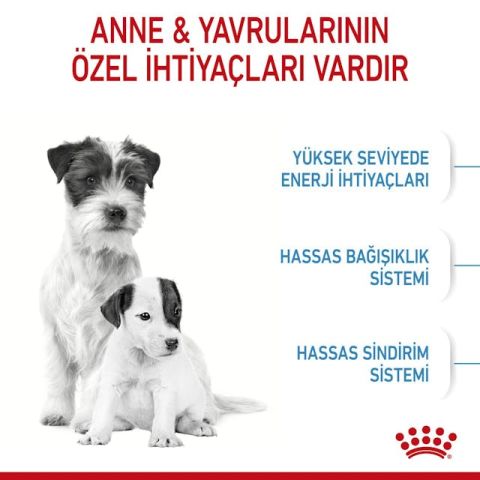 Royal Canin Mini Starter Yavru Köpek Maması