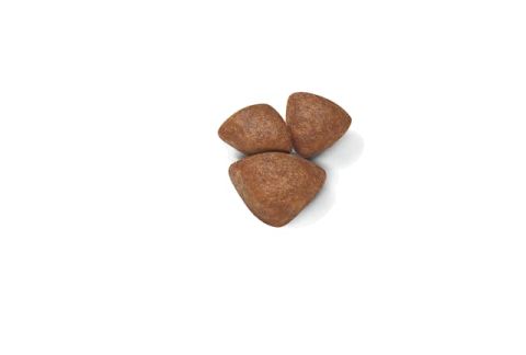 Royal Canin Mini Starter Yavru Köpek Maması