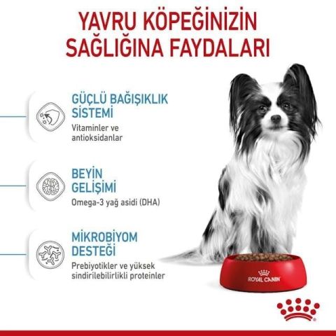 Royal Canin Xsmall Puppy Yavru Köpek Maması 1,5 Kg