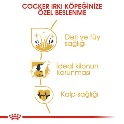 Royal Canin Cocker Adult Yetişkin Köpek Maması 3 Kg
