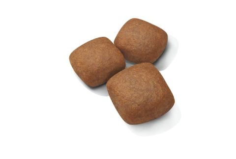 Royal Canin Giant Junior Dev Irk Yavru Köpek Maması 15 Kg