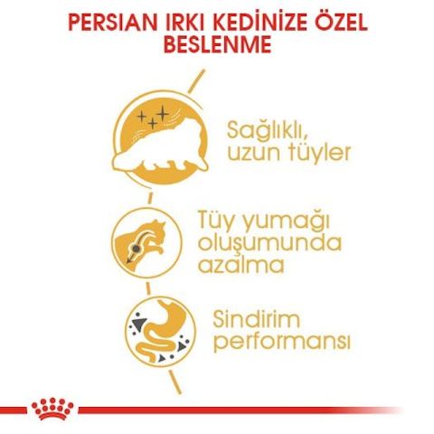 Royal Canin Persian Adult Yetişkin İran Kedisi Maması 4 Kg