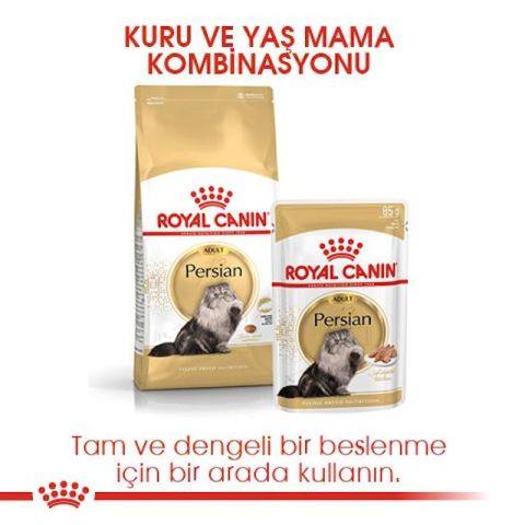 Royal Canin Persian Adult Yetişkin İran Kedisi Maması 4 Kg