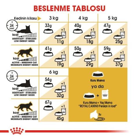 Royal Canin Persian Adult Yetişkin İran Kedisi Maması 4 Kg