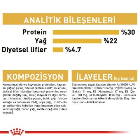 Royal Canin Persian Adult Yetişkin İran Kedisi Maması 4 Kg