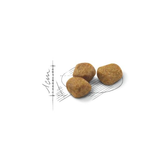 Royal Canin İndoor 7+ Senior Yaşlı Kedi Maması 1,5 Kg