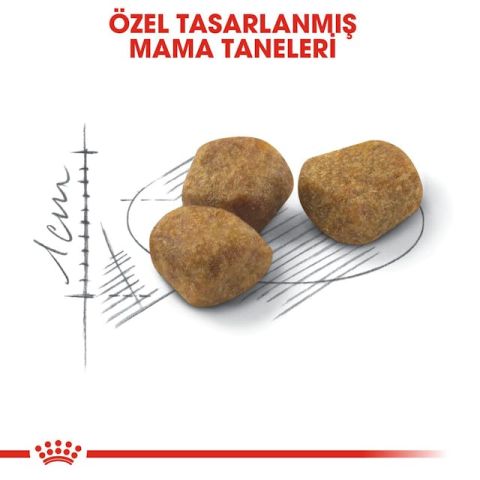 Royal Canin İndoor 7+ Senior Yaşlı Kedi Maması 1,5 Kg