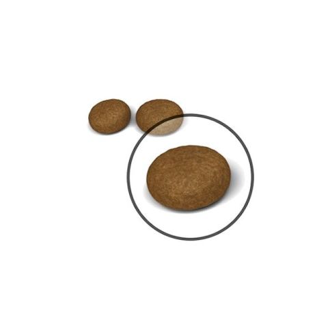 Royal Canin Hair Skin Deri ve Tüy Sağlığı için Kedi Maması 4 kg
