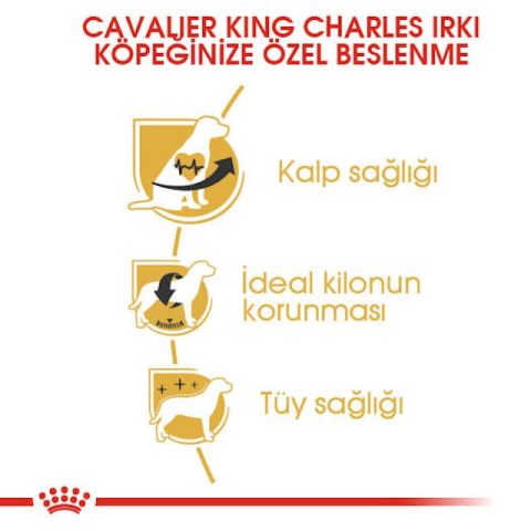 Royal Canin Cavalier King Charles Yetişkin Köpek Maması 1,5 Kg