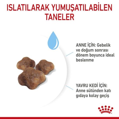 Royal Canin Mother Babycat Anne ve Yavru Kedi Maması 4 Kg