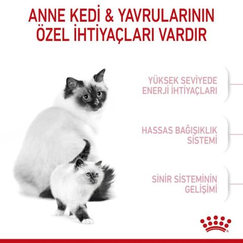 Royal Canin Mother Babycat Anne ve Yavru Kedi Maması 4 Kg