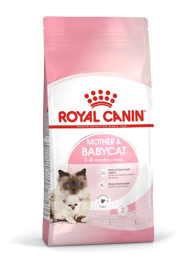 Royal Canin Mother Babycat Anne ve Yavru Kedi Maması 4 Kg
