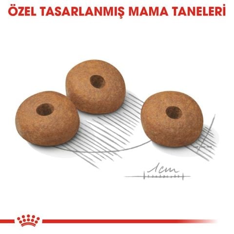 Royal Canin Mini Light Care Diyet Yetişkin Köpek Maması 3 Kg