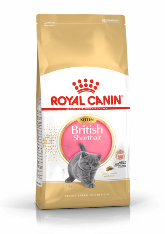Royal Canin Kitten British Shorthair 2 kg Yavru Kuru Kedi Maması
