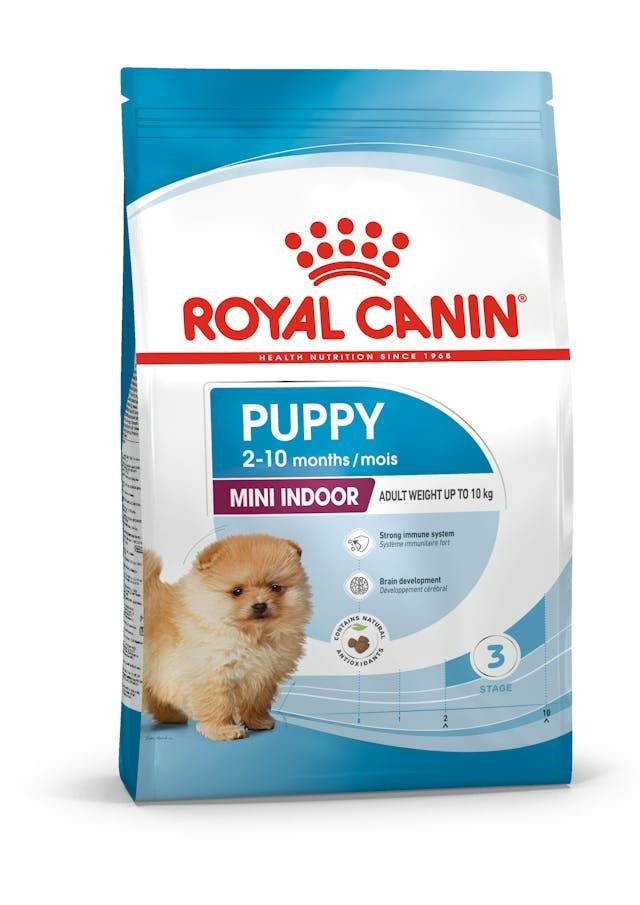 Royal Canin Mini İndoor Puppy Yavru Köpek Maması 1.5 Kg