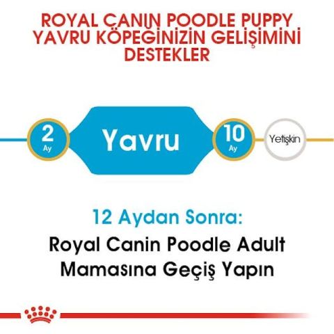 Royal Canin Poodle Junior Yavru Köpek Maması 3 Kg