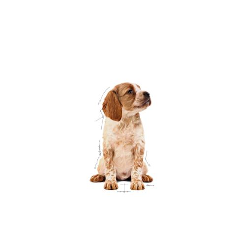 Royal Canin Medium Puppy Gravy Yavru Konserve Köpek Maması 140 Gr