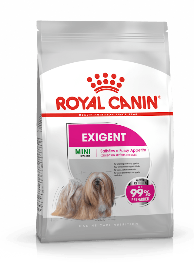 Royal Canin Mini Exigent Adult Yetişkin Köpek Maması 3 Kg