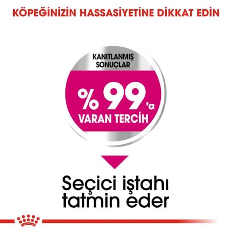 Royal Canin Mini Exigent Adult Yetişkin Köpek Maması 3 Kg