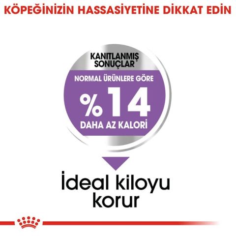 Royal Canin Mini Sterilised Yetişkin Kısırlaştırılmış Köpek Maması 3 Kg