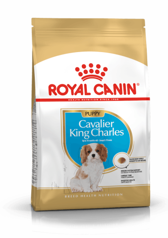 Royal Canin Cavalier King Charles Junior Yavru Köpek Maması 1.5 Kg