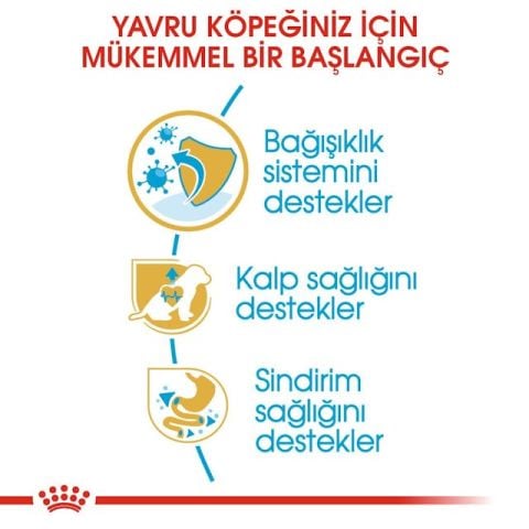 Royal Canin Cavalier King Charles Junior Yavru Köpek Maması 1.5 Kg