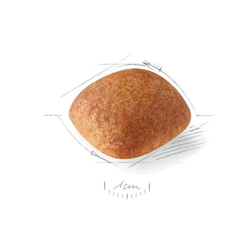 Royal Canin Golden Retriever Adult Yetişkin Köpek Maması 12 Kg