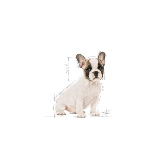 Royal Canin French Bulldog Junior Yavru Köpek Maması 3 Kg