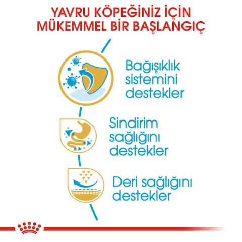 Royal Canin French Bulldog Junior Yavru Köpek Maması 3 Kg