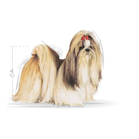 Royal Canin Shihtzu Adult Yetişkin Köpek Maması 1.5 Kg