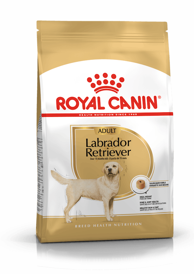 Royal Canin Labrador Retriever Yetişkin Köpek Maması 12 Kg
