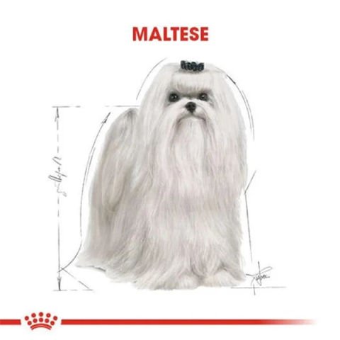 Royal Canin Maltese Terrier Adult Yetişkin Köpek Maması 1,5 kg