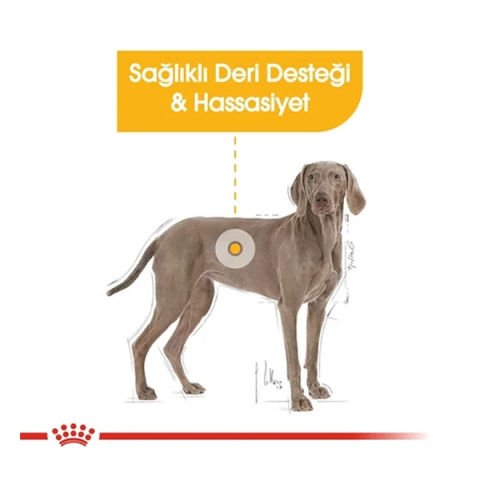 Royal Canin Adult Maxi Dermacomfort Yetişkin Köpek Maması 12 kg