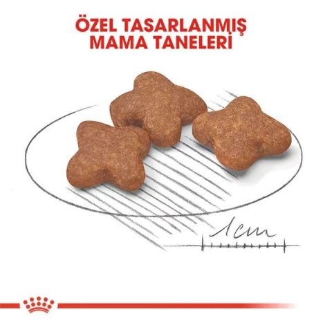 Royal Canin Mini Adult 8+ Küçük Irk Yaşlı Köpek Maması 2kg