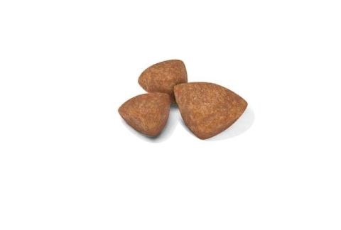 Royal Canin Xsmall Puppy Yavru Köpek Maması 1