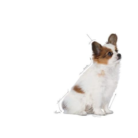 Royal Canin Xsmall Puppy Yavru Köpek Maması 1