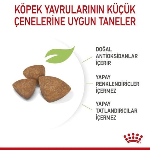 Royal Canin Xsmall Puppy Yavru Köpek Maması 5 Kg