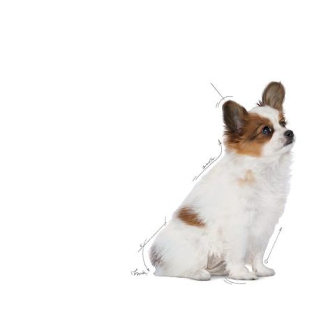 Royal Canin Xsmall Puppy Yavru Köpek Maması 5 Kg