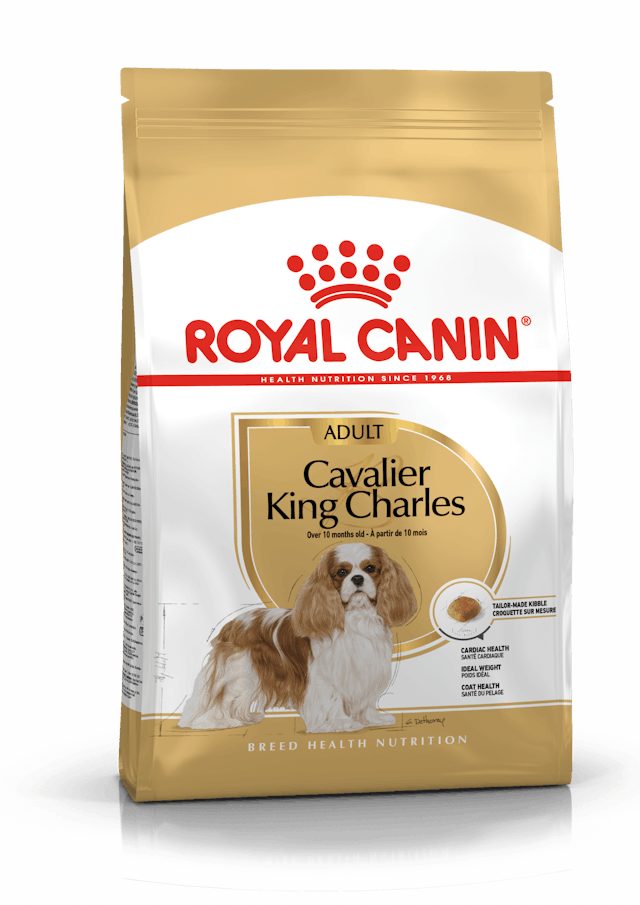 Royal Canin Cavalier King Charles Yetişkin Köpek Maması 1,5 Kg 1