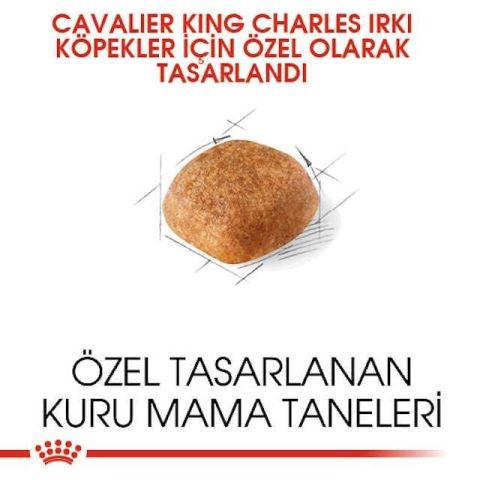 Royal Canin Cavalier King Charles Yetişkin Köpek Maması 1,5 Kg 1