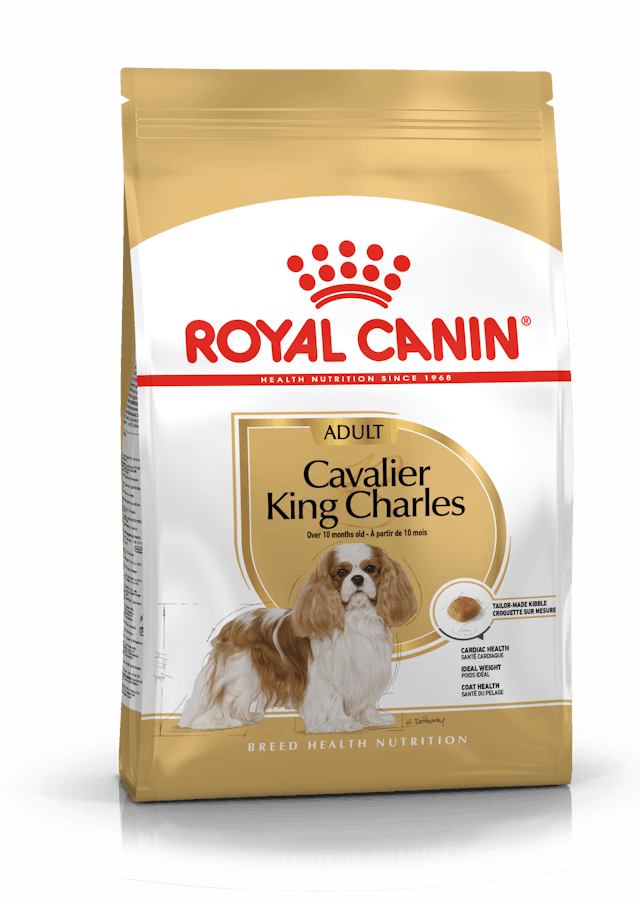 Royal Canin Cavalier King Charles Yetişkin Köpek Maması 1,5 Kg 5 Kg